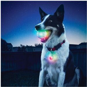 GreenZech Pet Dog Training Electronic LED 7 Color Flashing Luminous Dog Pet Toys GreenZech Pet Dog Training Electronic LED 7 Color Flashing Luminous Dog Pet Toys