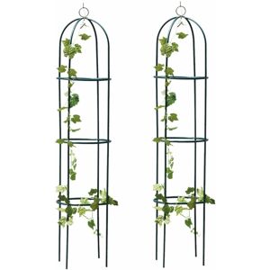 True Face (2 Pack) Garden Obelisk Metal Climbing Plants 1 & 2 Pack True Face (2 Pack) Garden Obelisk Metal Climbing Plants 1 & 2 Pack