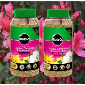 Miracle-Gro 2 MiracleGro Azalea Plant Feed Camellia Rhododendron Plant Food 900g Miracle-Gro 2 MiracleGro Azalea Plant Feed Camellia Rhododendron Plant Food 900g