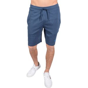 (Teal, S) The North Face Mens Graphic Shorts (Teal, S) The North Face Mens Graphic Shorts