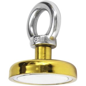 GreenZech (Yellow) 48mm 90kg Neodymium Recovery Magnet Metal Detector Circular Eyebolt Red GreenZech (Yellow) 48mm 90kg Neodymium Recovery Magnet Metal Detector Circular Eyebolt Red