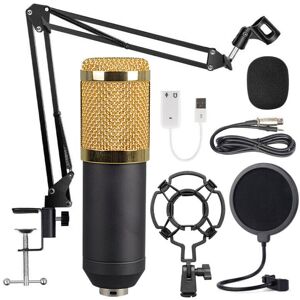 GreenZech (black+silver) Large Diaphragm Condenser Microphone Set for Online Singing Live GreenZech (black+silver) Large Diaphragm Condenser Microphone Set for Online Singing Live