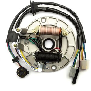 PetrolScooter Stator Magneto Pit Bike Kickstart 110cc - 140cc (with gear readout) PetrolScooter Stator Magneto Pit Bike Kickstart 110cc - 140cc (with gear readout)