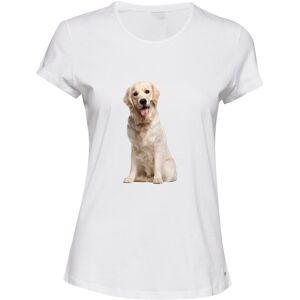 Gildan (L) Cute Gold Labrador Retriever Puppy Pet Dog White Ladies Women T Shirt Tee To Gildan (L) Cute Gold Labrador Retriever Puppy Pet Dog White Ladies Women T Shirt Tee To