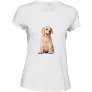 Gildan (2XL) Cute Baby Gold Labrador Retriever Puppy Pet White Ladies Women T Shirt Tee Gildan (2XL) Cute Baby Gold Labrador Retriever Puppy Pet White Ladies Women T Shirt Tee
