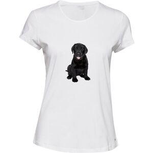 Gildan (S) Little Cute Tiny Labrador Baby Black Puppy Dog Ladies Women T Shirt Tee Top Gildan (S) Little Cute Tiny Labrador Baby Black Puppy Dog Ladies Women T Shirt Tee Top