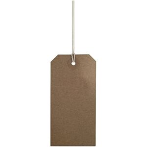 Swift Strung Tags Brown Reinforced Card Clothing Parcel Label String Hanging Gift Swin Swift Strung Tags Brown Reinforced Card Clothing Parcel Label String Hanging Gift Swin