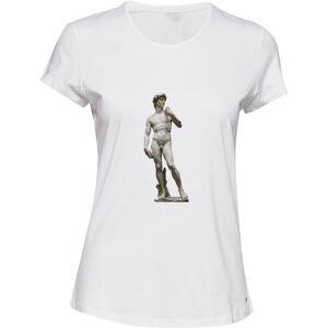 Gildan (2XL) Michelangelo Statue of David Sculpture White Ladies Women T Shirt Tee Top Gildan (2XL) Michelangelo Statue of David Sculpture White Ladies Women T Shirt Tee Top