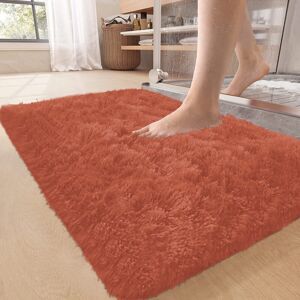 Imperial Rooms (50cm x 80 cm OR 1 ft 6 in x 2 ft 6 in Bath Mat/ Door Mat, Rust/ Orange- Shaggy Imperial Rooms (50cm x 80 cm OR 1 ft 6 in x 2 ft 6 in Bath Mat/ Door Mat, Rust/ Orange- Shaggy
