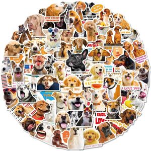 Tianfu Dog stickers-100 animal cartoon waterproof laptop kettle suitcase DIY birthday p Tianfu Dog stickers-100 animal cartoon waterproof laptop kettle suitcase DIY birthday p