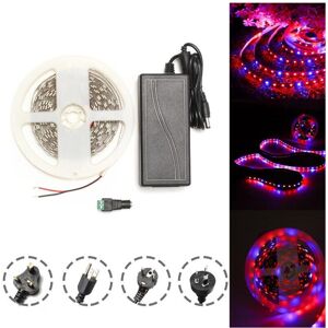 GreenZech (US Plug) DC12V 5M Red:Blue 3:1 Waterproof 5050 Full Spectrum Grow LED Strip Lig GreenZech (US Plug) DC12V 5M Red:Blue 3:1 Waterproof 5050 Full Spectrum Grow LED Strip Lig