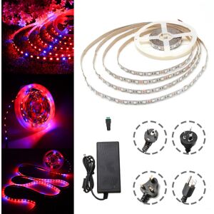 GreenZech (US Plug) DC12V 5M Non-waterproof SMD5050 R:B 3:1 Grow LED Strip Light + 5A Powe GreenZech (US Plug) DC12V 5M Non-waterproof SMD5050 R:B 3:1 Grow LED Strip Light + 5A Powe