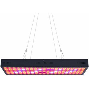 GreenZech 5000W LED Grow Light Strip Hydroponic Full Spectrum Veg Flower Plant - UK Plug GreenZech 5000W LED Grow Light Strip Hydroponic Full Spectrum Veg Flower Plant - UK Plug