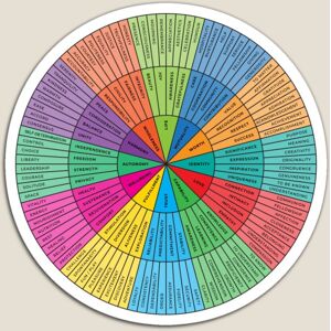 WHIBOS Fridge Magnets Needs Wheel Rainbow on White Emotional Wellbeing Resource Acrylic WHIBOS Fridge Magnets Needs Wheel Rainbow on White Emotional Wellbeing Resource Acrylic