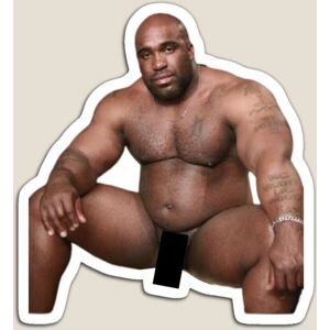 WHIBOS Fridge Magnets Barry Wood Acrylic Meme Decoration for Home Kitchen Office WHIBOS Fridge Magnets Barry Wood Acrylic Meme Decoration for Home Kitchen Office