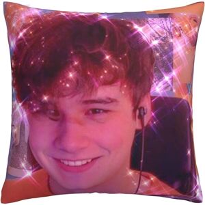 KEROTA Wilbur Soot Multipurpose Pillowcase Soft Throw Pillow Cases Cushion Covers for D KEROTA Wilbur Soot Multipurpose Pillowcase Soft Throw Pillow Cases Cushion Covers for D