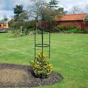 Aronz Kingfisher Decorative Climbing Plant Support Obelisk Garden Black Metal 1.9m Aronz Kingfisher Decorative Climbing Plant Support Obelisk Garden Black Metal 1.9m
