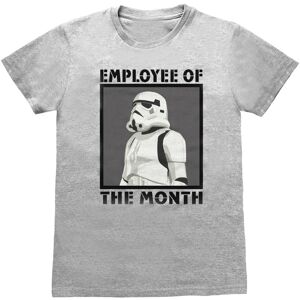(XL, Grey Heather) Star Wars Unisex Adult Employee Of The Month Stormtrooper T-S (XL, Grey Heather) Star Wars Unisex Adult Employee Of The Month Stormtrooper T-S