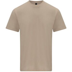 (XXL, Sand) Gildan Unisex Adult Softstyle Midweight T-Shirt (XXL, Sand) Gildan Unisex Adult Softstyle Midweight T-Shirt