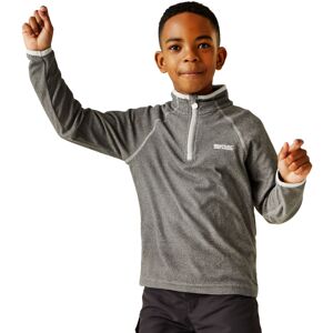 (11-12Yrs, Light Steel) Regatta Kids Loco Half Zip Mini Stripe Outdoor Pullover (11-12Yrs, Light Steel) Regatta Kids Loco Half Zip Mini Stripe Outdoor Pullover