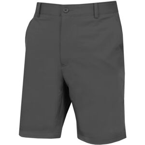 (34" Waist, Steel) Calvin Klein Mens 2021 Slim Fit Micro Tech Lightweight Golf S (34" Waist, Steel) Calvin Klein Mens 2021 Slim Fit Micro Tech Lightweight Golf S