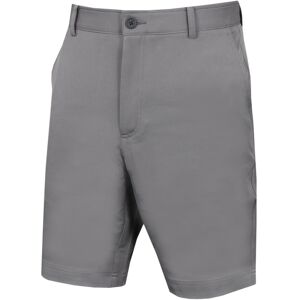 (30" Waist, Silver) Calvin Klein Mens 2022 Slim Fit Micro Tech Lightweight Golf (30" Waist, Silver) Calvin Klein Mens 2022 Slim Fit Micro Tech Lightweight Golf