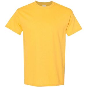 (S, Daisy) Gildan Mens Heavy Cotton Short Sleeve T-Shirt (Pack Of 5) (S, Daisy) Gildan Mens Heavy Cotton Short Sleeve T-Shirt (Pack Of 5)