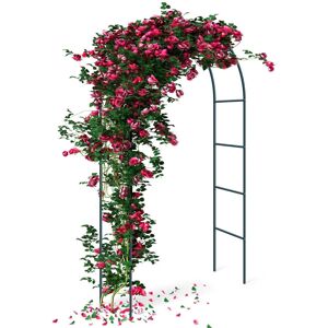DENNY INT LTD 2.4M Garden Arch Trellis Arched Metal Tubular Frame Climbing Plant Archway DENNY INT LTD 2.4M Garden Arch Trellis Arched Metal Tubular Frame Climbing Plant Archway