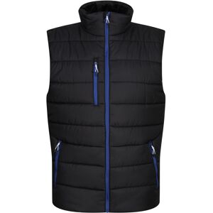 (S, Black/New Royal) Regatta Mens Navigate Thermal Body Warmer (S, Black/New Royal) Regatta Mens Navigate Thermal Body Warmer