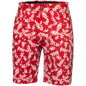 (36" Waist, Red/White) Calvin Klein Mens 2024 Printed Genius Four Way Stretch Sl (36" Waist, Red/White) Calvin Klein Mens 2024 Printed Genius Four Way Stretch Sl