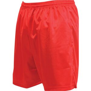 Loops L - RED Adult Sports Micro Stripe Training Shorts Bottoms - Unisex Football Loops L - RED Adult Sports Micro Stripe Training Shorts Bottoms - Unisex Football