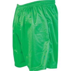 Loops XL - GREEN Adult Sports Micro Stripe Training Shorts Bottoms - Unisex Football Loops XL - GREEN Adult Sports Micro Stripe Training Shorts Bottoms - Unisex Football