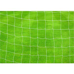 Loops PAIR - 2.5mm Knotted Football Goal Net - 16 x 7 Feet 9 A Side U12 Outdoor Rated Loops PAIR - 2.5mm Knotted Football Goal Net - 16 x 7 Feet 9 A Side U12 Outdoor Rated