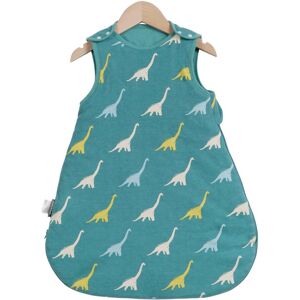 nobrand (Dinosaur, S) Baby Sleeping Bag 0-2 Years Children Anti-Kick Blanket Quilt Carto nobrand (Dinosaur, S) Baby Sleeping Bag 0-2 Years Children Anti-Kick Blanket Quilt Carto