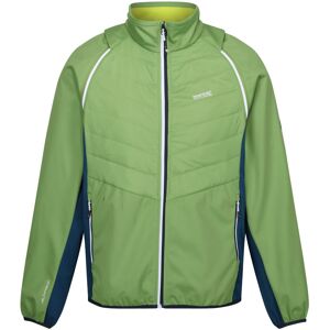 (XXL, Piquant Green/Moroccan Blue/Citron Lime) Regatta Mens Steren II Softshell (XXL, Piquant Green/Moroccan Blue/Citron Lime) Regatta Mens Steren II Softshell
