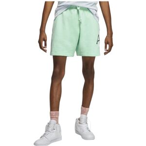 (Mint Green, S) NIKE Air Jordan Mens DNA Shorts Summer Half Pants (Mint Green, S) NIKE Air Jordan Mens DNA Shorts Summer Half Pants