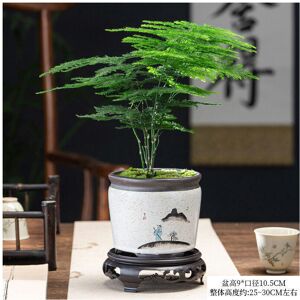 Unbranded (Boutique bamboo+white fishing+moss+base) Four Seasons Changqing Office Creative Unbranded (Boutique bamboo+white fishing+moss+base) Four Seasons Changqing Office Creative