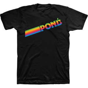 Gildan (XXL) Pond Rainbow Stripe T-Shirt S Gildan (XXL) Pond Rainbow Stripe T-Shirt S