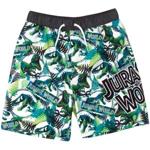 (6-7 Years, Green) Jurassic World Boys Dinosaur Swim Shorts (6-7 Years, Green) Jurassic World Boys Dinosaur Swim Shorts