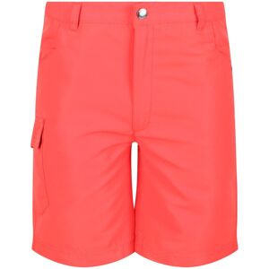 Regatta Neon Peach Kids Shorts - 11-12Y - Lightweight, Water-Resistant Regatta Neon Peach Kids Shorts - 11-12Y - Lightweight, Water-Resistant