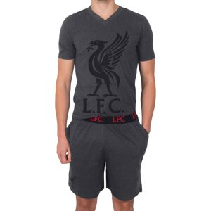 (Grey, 2XL) Liverpool FC Mens Pyjamas Short Loungewear OFFICIAL Football Gift (Grey, 2XL) Liverpool FC Mens Pyjamas Short Loungewear OFFICIAL Football Gift