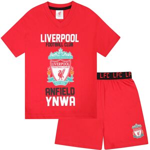 (Red, 8-9 Years) Liverpool FC Official Football Gift Boys Short Pyjamas (Red, 8-9 Years) Liverpool FC Official Football Gift Boys Short Pyjamas