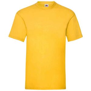 (L, Sunflower) Fruit of the Loom Mens Valueweight T-Shirt (L, Sunflower) Fruit of the Loom Mens Valueweight T-Shirt