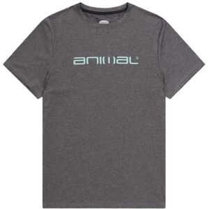 Animal Mens Latero Logo Swimming T-Shirt Animal Mens Latero Logo Swimming T-Shirt