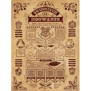 Harry Potter Quidditch Canvas Print Harry Potter Quidditch Canvas Print