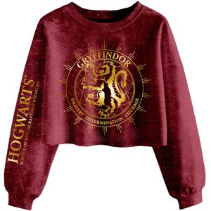 (XL, Maroon) Harry Potter Womens/Ladies Gryffindor Constellation Acid Wash Crop (XL, Maroon) Harry Potter Womens/Ladies Gryffindor Constellation Acid Wash Crop