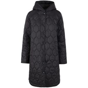 (L, Black) Trespass Womens/Ladies Phase Padded Jacket (L, Black) Trespass Womens/Ladies Phase Padded Jacket