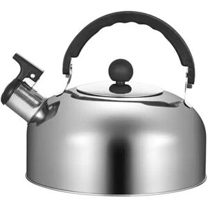 RYWOLT (Silver) Kettle Whistling 3l Tea Stove Gas Camping Stainless Steel Teapot Water RYWOLT (Silver) Kettle Whistling 3l Tea Stove Gas Camping Stainless Steel Teapot Water