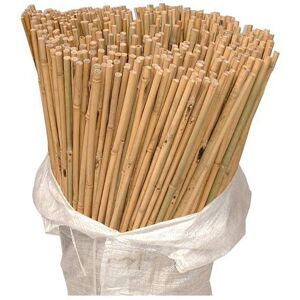 Gardeners Dream 200 x 2ft Heavy Duty Bamboo Garden Canes Strong Thick Quality Plant Support Gardeners Dream 200 x 2ft Heavy Duty Bamboo Garden Canes Strong Thick Quality Plant Support