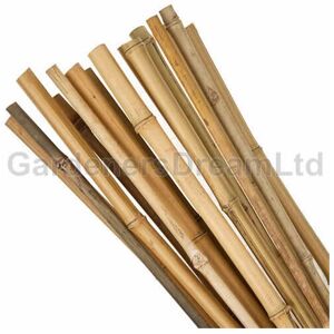 Gardeners Dream 50 X 5FT HEAVY DUTY BAMBOO GARDEN CANES STRONG THICK QUALITY PLANT SUPPORT Gardeners Dream 50 X 5FT HEAVY DUTY BAMBOO GARDEN CANES STRONG THICK QUALITY PLANT SUPPORT